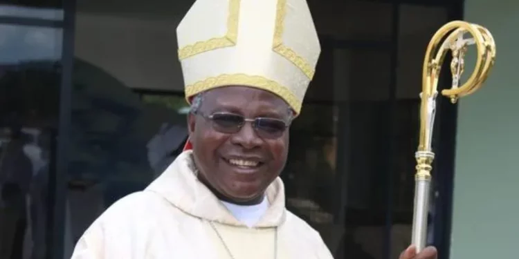 Pope Francis erects new metropolitan see in Zambia, appoints pioneer archbishop
