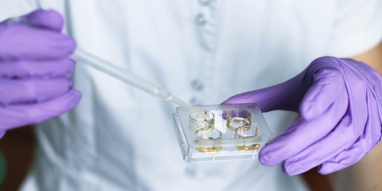 The ethics of IVF: Where Catholics and Baptists can agree