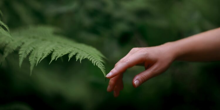 Pope Francis on Prayer for Creation Day: Caring for the environment is an ‘act of love’