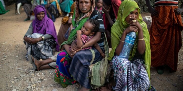 U.S. bishops urge Catholics to petition Congress to halt foreign funding freeze