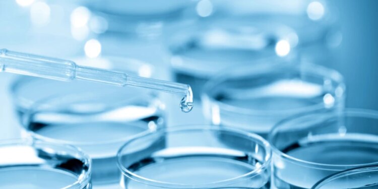 Catholic bioethicist weighs in on scientific effort to create life from scratch