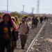 Minnesota bishops call for ‘generous but also prudent’ welcome of refugees