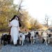 The California Norbertine nuns who raise dogs, make cheese, and pray always
