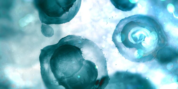 California couple with 21 kids from surrogate mothers charged with neglect, endangerment