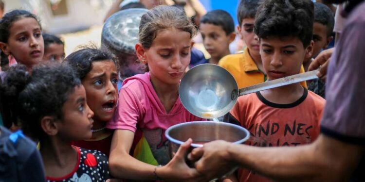 CRS has delivered aid to 1.7 million in Gaza since 2023