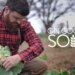 EWTN launches ‘On Good Soil,’ a new series on Catholic homesteading