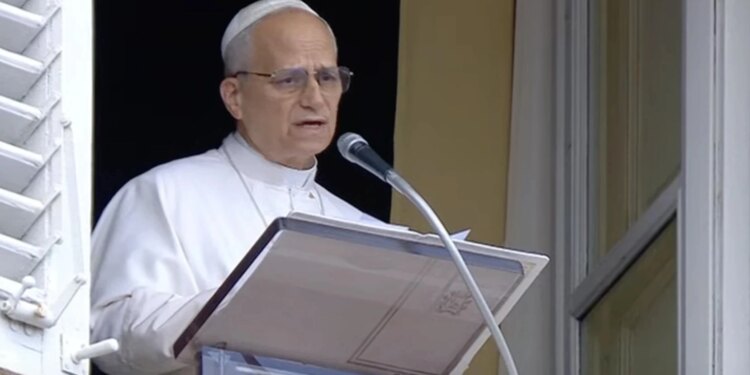 Pope Leo XIV urges ‘full respect for humanitarian law’amid food crisis in Gaza 