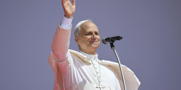 New Gallup poll finds Pope Leo XIV ranks most favorable among 14 figures making headlines