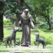 11 saints who had pets or who befriended animals