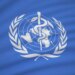 World Health Organization promotes abortion drugs on essential medicines list