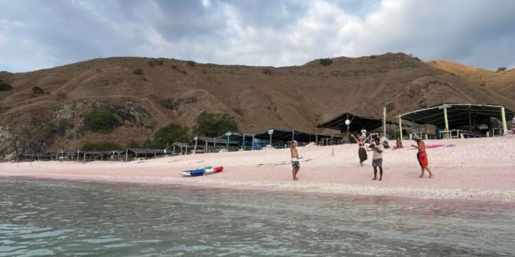 Indonesians back check on tourist flow to Komodo park