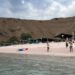 Indonesians back check on tourist flow to Komodo park