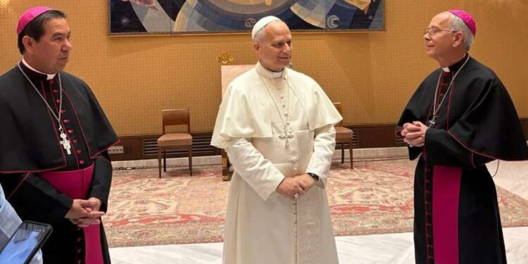 US bishop shares migrants' stories with Pope Leo