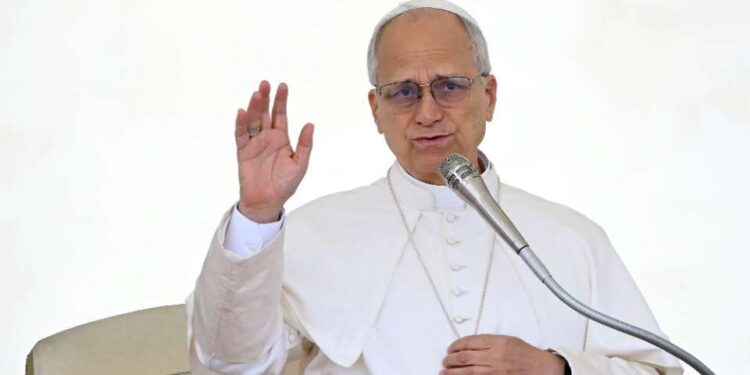 Pope Leo cautions against using military power within US