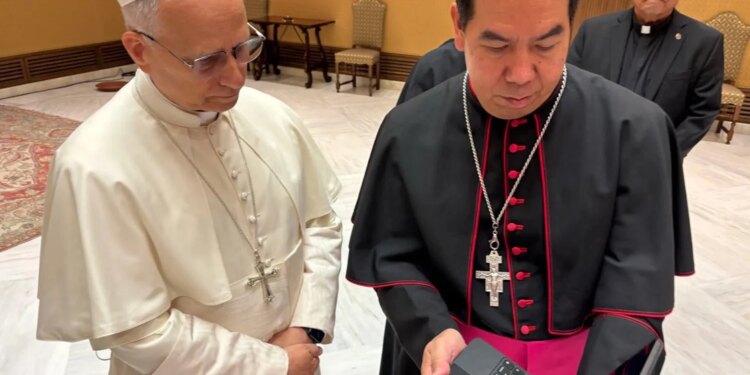 Pope Leo XIV to supporters of migrants in U.S.: ‘You stand with me, and I stand with you’ 