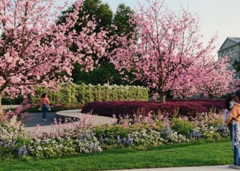 ‘An encounter with Jesus’: Artist behind living wall memorial for unborn shares mission