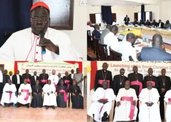 Cardinal sounds alarm on ‘unprecedented’ crisis in Sudan, South Sudan