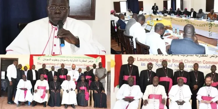 Cardinal sounds alarm on ‘unprecedented’ crisis in Sudan, South Sudan