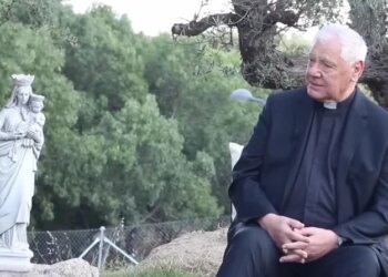 Cardinal Gerhard Müller calls for overcoming ideological divisions in the Church