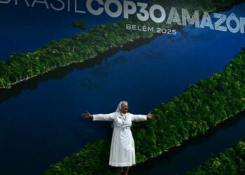 Mother Church’s moral wisdom amid COP30’s missteps