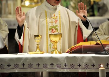 Majority of Australian and French priests are thriving, reports say