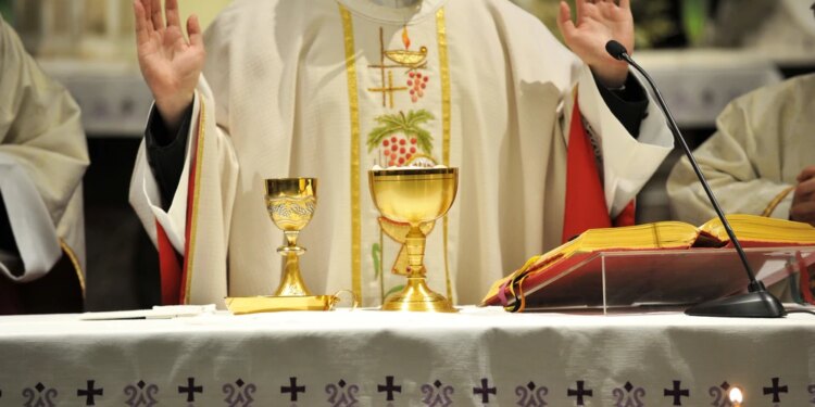 Majority of Australian and French priests are thriving, reports say