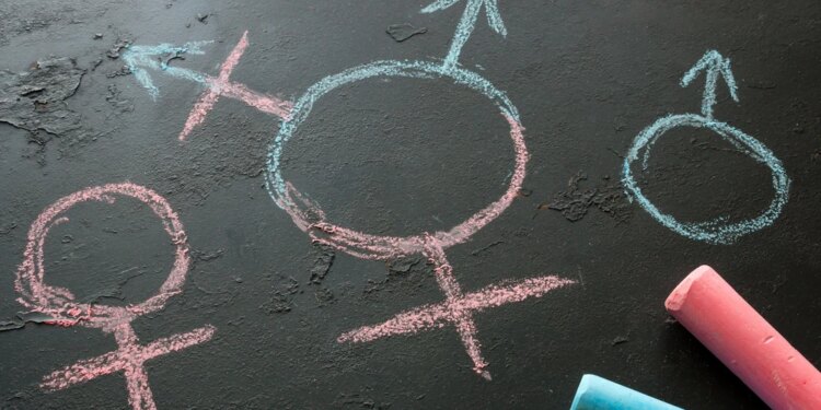 German bishops distance themselves from school guide on ‘diversity of sexual identities’