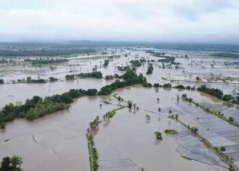 Sri Lanka grapples with worst natural disaster in its history