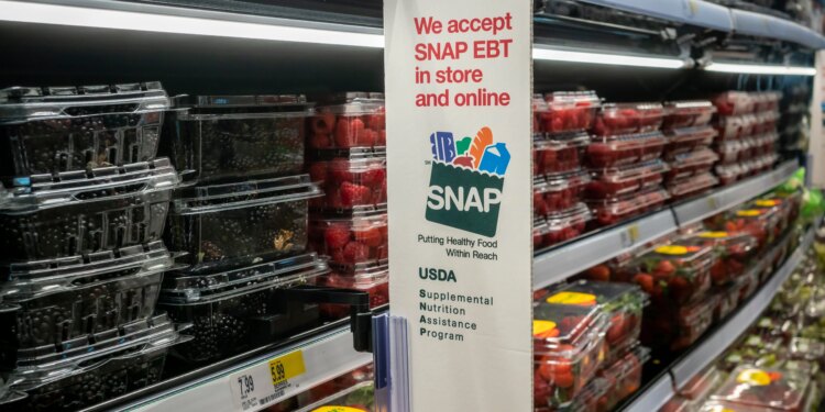 Catholic Charities affiliates fear SNAP disruptions amid Trump administration warning